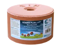 S.I.N. Hellas Vitamin plus selen minerální liz 3 kg