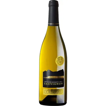 Giuseppe Campagnola Sauvignon Bianco Cataldo IGT 2022