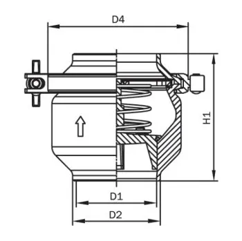 Ventil Ventil zpětný - svár/svár - 1.4301: DN 50