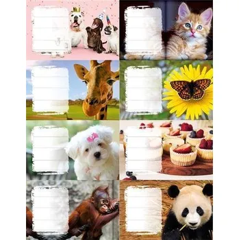 Samolepící etiketa Školní etikety "Dívky", 24 ks, PANTA PLAST