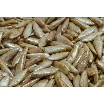 Korálek Koralky - jazýčky č. 1737 (16x5 mm)