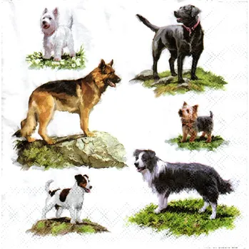 Papírový ubrousek UBR-E03, Ubrousek, 16x16 cm, PEJSCI, 1 kus