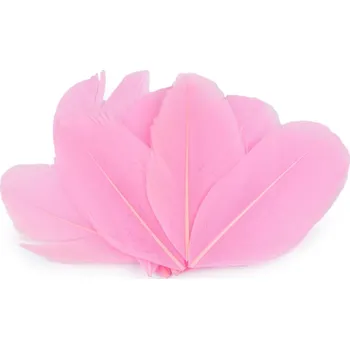 Výtvárné potřeby Husí peří délka 5,5-7 cm, barva 18 růžová střední