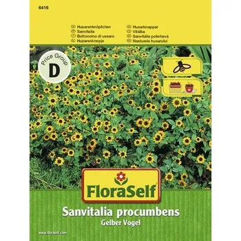 Semeno Sanvitalie plazivá FloraSelf květinová semena