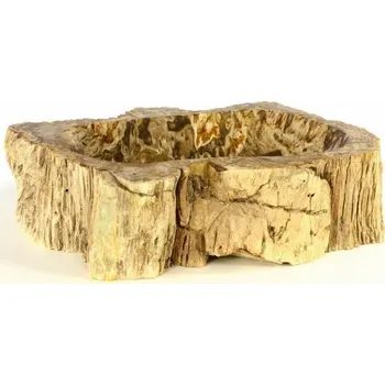 Umyvadlo Luxusní designové umyvadlo ze zkamenělého kmene stromu, průměr cca 50 cm