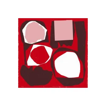 Zahraniční hudba Mr Bongo Record Club Volume Five - Various [CD]