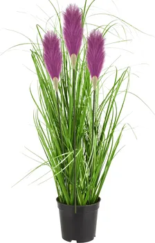 Umělá květina Tutumi Dekorativní pampová tráva 70 cm zelená/fialová