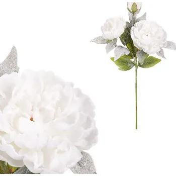 Pivoňka, 3 květy, bílá barva.