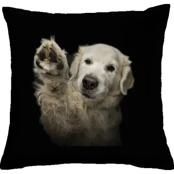 Dekorativní polštářek Polštář bavlněný s potiskem Pac