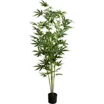 EuroPalms Konopí 150 cm zelená
