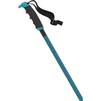 Sjezdová hůlka Atomic REDSTER X TEAL BLUE 130