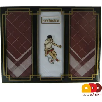 Látkový kapesník Pánské kapesníky 3ks, s výšivkou - tenista (Látkové kapesníky pro muže M15)