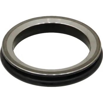 Kroužkové těsnění Ø 39 mm pro Horsch, 00270365