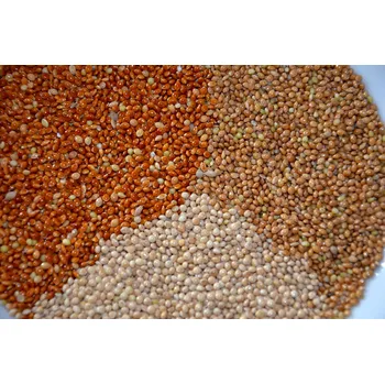 Krmivo pro ptáka ČR Proso červené Váha: 1 Kg