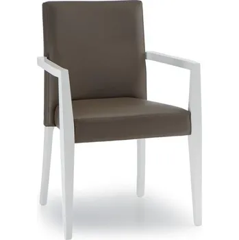 Jídelní židle NábytekProNás Designové křesílko DIANA 260 - stohovatelné