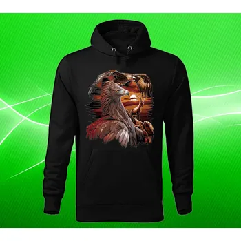 Pánská mikina mikina s kapucí Orel skalní M