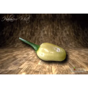 Semeno chilli-semena Habanero White