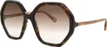 Sluneční brýle Chloé CH0008S – 004
