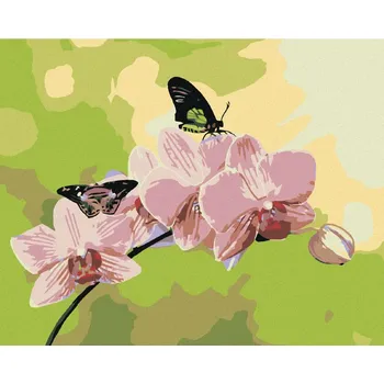 Hračka Diamondi Diamantové malování - ORCHIDEJ S MOTÝLKY Rozměr: 40x50 cm, Rámování: vypnuté plátno na rám