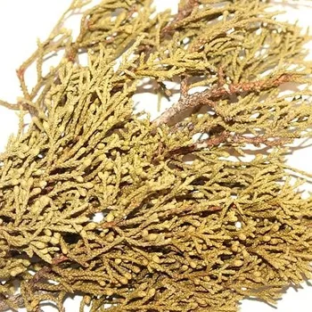 Vonná tyčinka JALOVEC VIRGINSKÝ