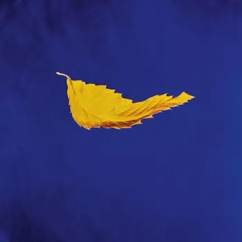 Zahraniční hudba New Order - True Faith (LP, 5054197635700)