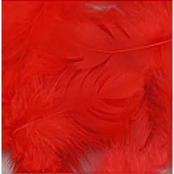 Krůtí peří barvené, 11-17 cm, červená