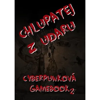 Kniha Chlupatej z Udaru