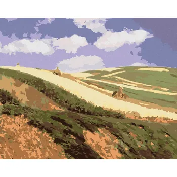 Hračka Diamondi Diamantové malování - POLE (PÁL SZINYEI MERSE) Rozměr: 40x50 cm, Rámování: bez rámu a bez vypnutí plátna