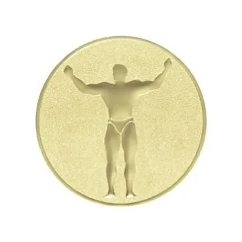 Kovový emblém - KULTURISTIKA (026)