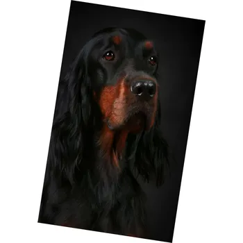 deka Excellent Mikroplyšová hřejivá deka 130x150 cm - Kokršpaněl černý s pálením