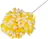 Chryzantéma vosková 14 cm 24 ks, žlutá/bílá