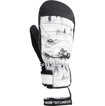 Rukavice Picture Caldwell 10/10 Pánské zimní rukavice US M GT134-MOOD