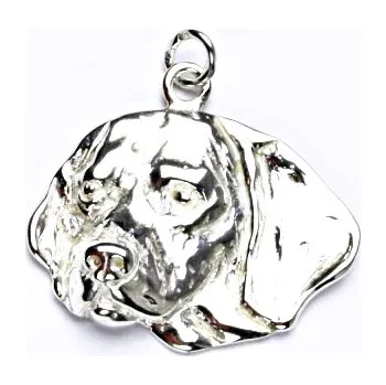 Přívěsek Stříbrný přívěsek bígl - P216 (Stříbrný pes bígl)