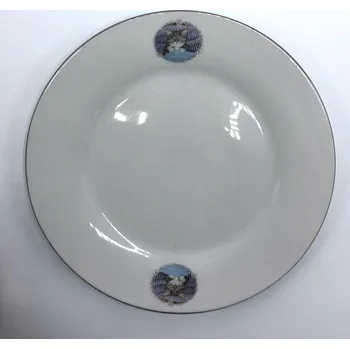 Talíř Talířek porcelánový Kotě v peřinách (Dezertní talíř s kočkou, kočka)