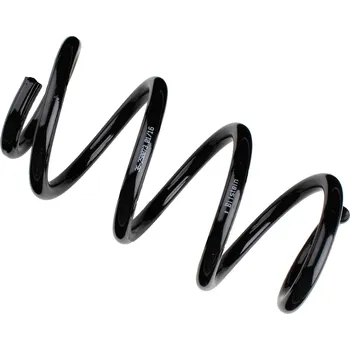 Pružina podvozku, , 8K0411105EF, BILSTEIN, 36-250073