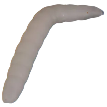 6ks - Červ Iron Trout Baco 4cm Svítivá