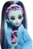 Panenka Monster High HKY68 Creepover Party