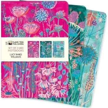 Cizojazyčná kniha Lucy Innes Williams Set of 3 Midi Notebooks