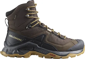 Pánská treková obuv Salomon Quest Element Gore-Tex L47216100