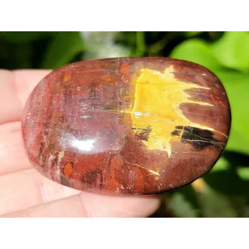 Přírodní kámen Zkamenělé dřevo hladký kámen z Madagaskaru 119g