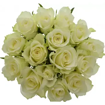 umělá květina Kytice 15 bílých růží ATHENA 50cm