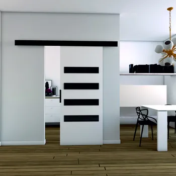 Interiérové dveře Nábytek PEGAS s.r.o. Posuvné dveře STANDART MIX F100, Bílá/Černá