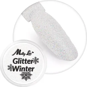 Umělé nehty Jemný glitrový prach na nehty, 1g - Glitter Winter 08 (krásně třpytivý holografický glitter) (Jemný brokát na nehty )
