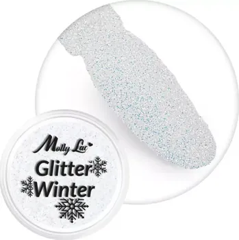 Umělé nehty Jemný glitrový prach na nehty, 1g - Glitter Winter 09 (krásně třpytivý holografický glitter) (Jemný brokát na nehty )