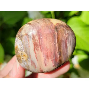 Přírodní kámen Zkamenělé dřevo hladký kámen z Madagaskaru (102g)