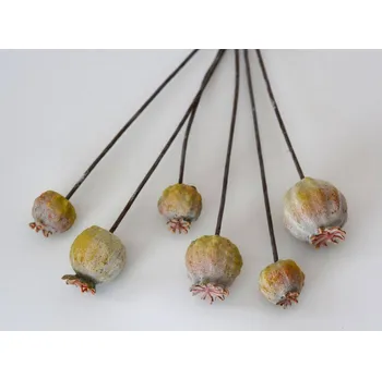 umělá květina Canea Polsko Umělé květiny - Makovice 1 ks