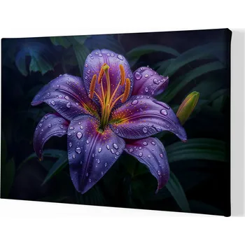 Obraz Obraz na plátně - Lilie, orosená královna FeelHappy.cz Velikost obrazu (šířka x výška): 40 x 30 cm