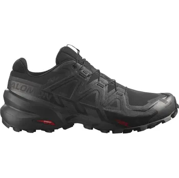 Pánská běžecká obuv Trailové běžecké boty Salomon Speedcross 6 GTX M 40 2/3 EUR