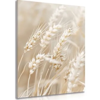 Obraz Dovido Obraz stébla pšenice