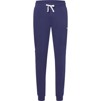 Energetics Silos VI M